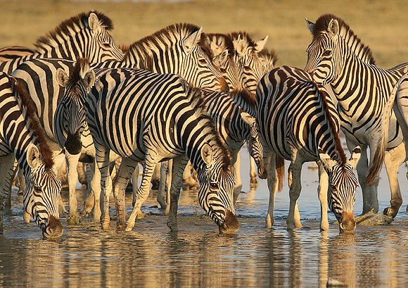 Makgadikgadi