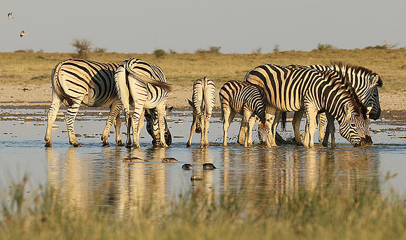 Makgadikgadi