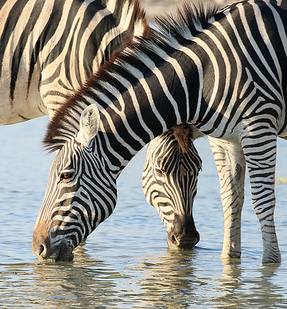 Makgadikgadi