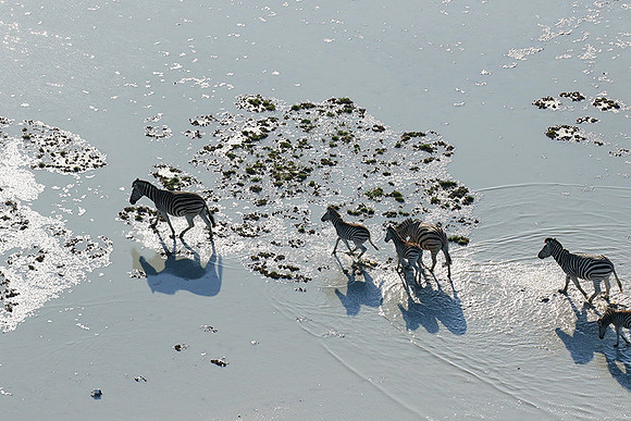 Flying over Sua Pan - Makgadikgadi