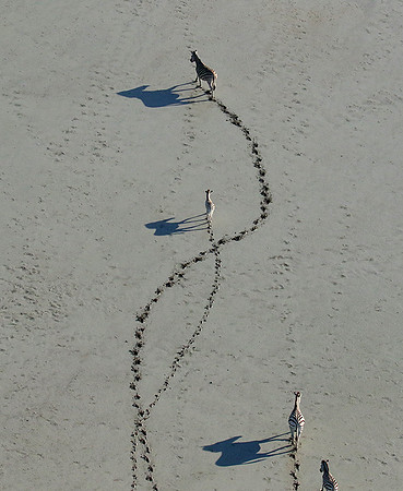 Helicopter flight over Sua Pan
