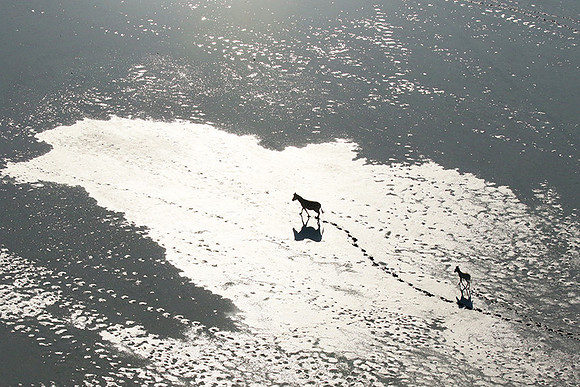 Flying over Sua Pan - Makgadikgadi