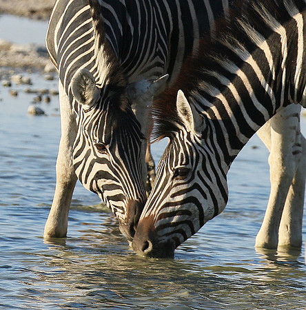 Makgadikgadi