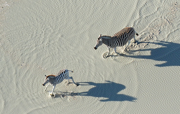 Flying over Sua Pan - Makgadikgadi