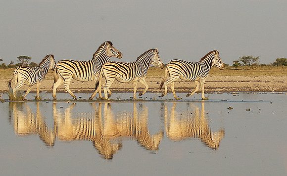Makgadikgadi