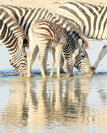 Makgadikgadi