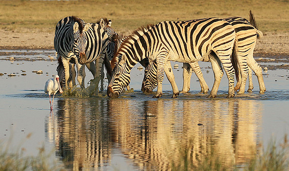 Makgadikgadi
