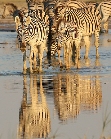 Makgadikgadi