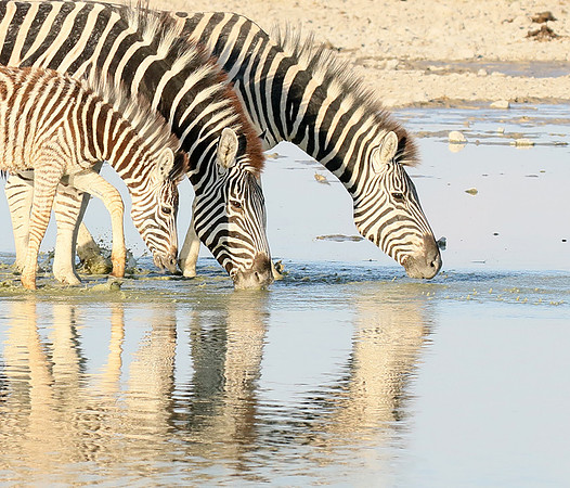 Makgadikgadi