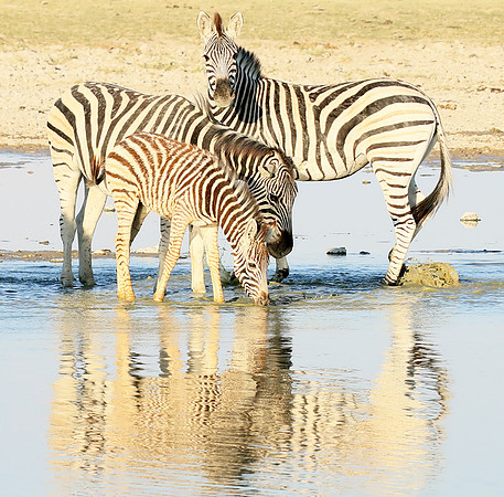 Makgadikgadi
