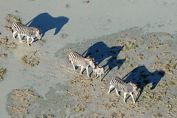 Helicopter flight over Sua Pan