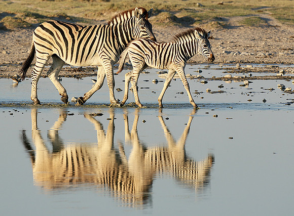Makgadikgadi
