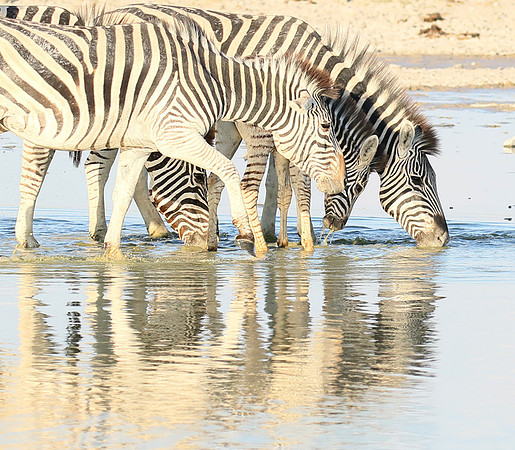 Makgadikgadi