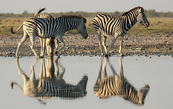 Makgadikgadi