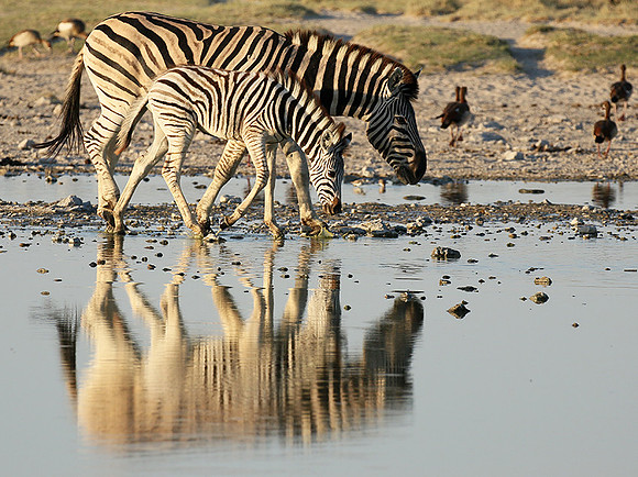 Makgadikgadi