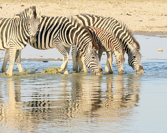 Makgadikgadi