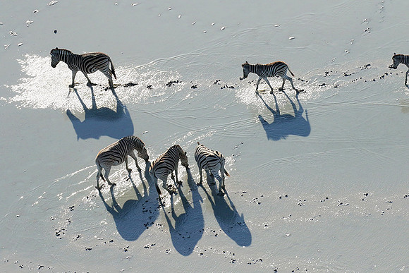 Flying over Sua Pan - Makgadikgadi