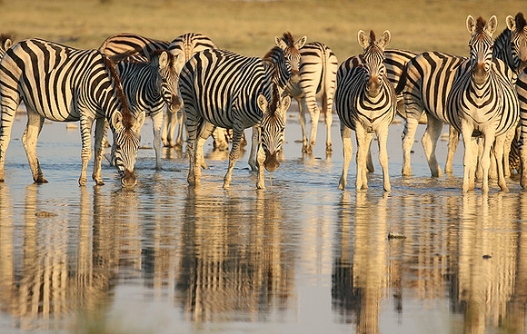 Makgadikgadi