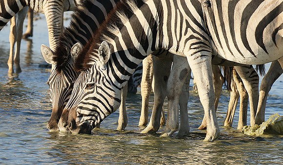 Makgadikgadi