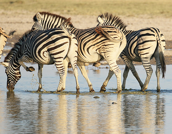Makgadikgadi