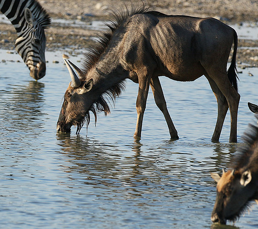 Makgadikgadi