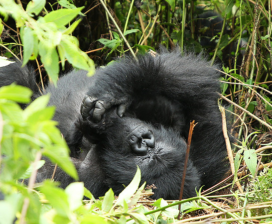 Volcanoes National Park