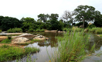 South Africa