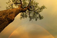 South Africa