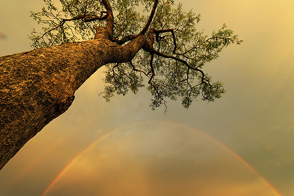 Sunset - Sabi Sand