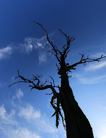 Sabi Sand - South Africa