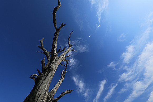 Sabi Sand - South Africa