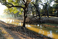 Zambia