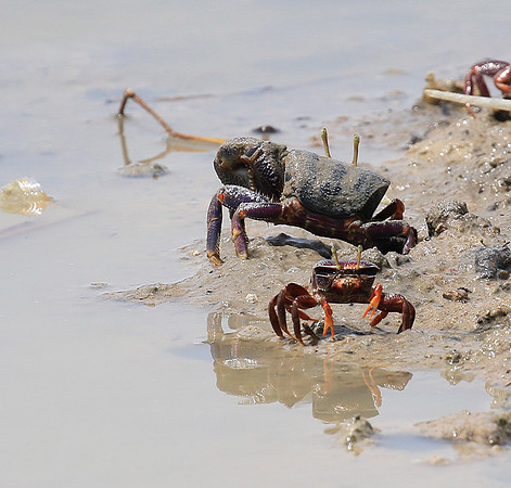 In the lagoon