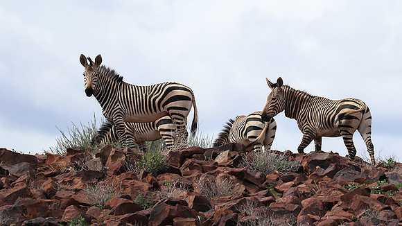 Ongave Game Reserve