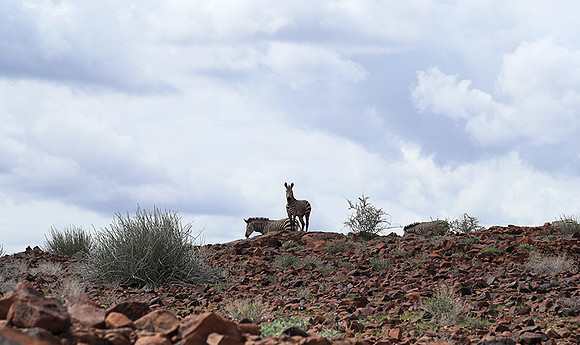 Ongave Game Reserve