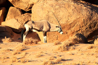 In the desert of Sussusvlei