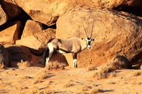 In the desert of Sussusvlei