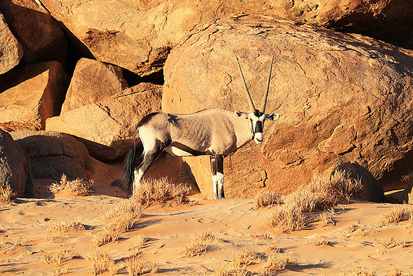 In the desert of Sussusvlei