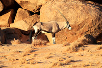 In the desert of Sussusvlei
