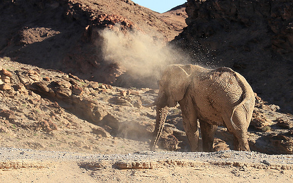 Skeleton coast
