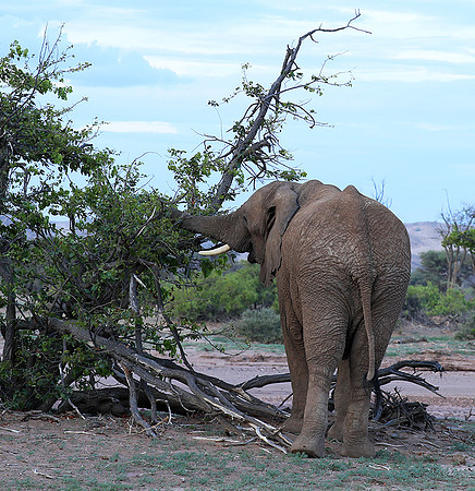 Damaraland