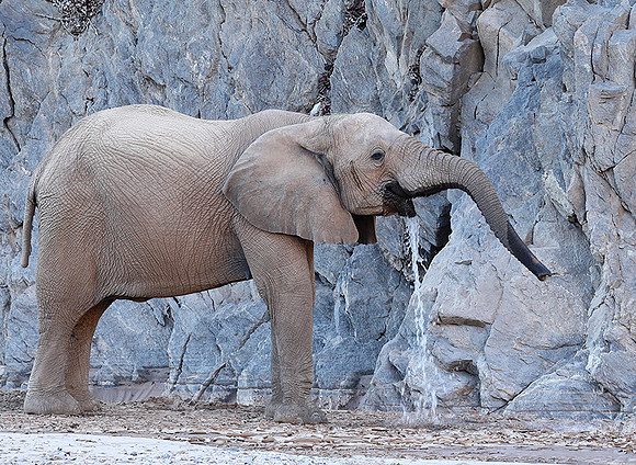 At Skeleton Coast
