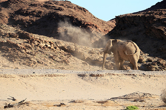 Skeleton coast