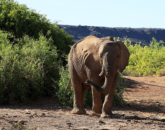 Damaraland