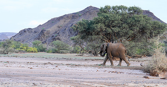 Damaraland