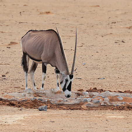 In the desert of Sussusvlei