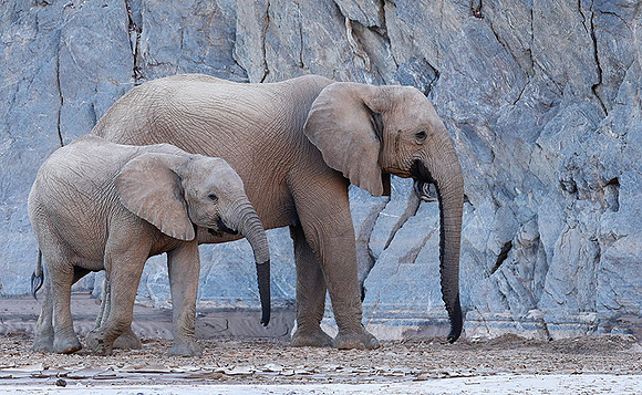 At Skeleton Coast