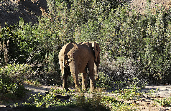 Skeleton coast