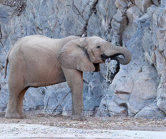 At Skeleton Coast
