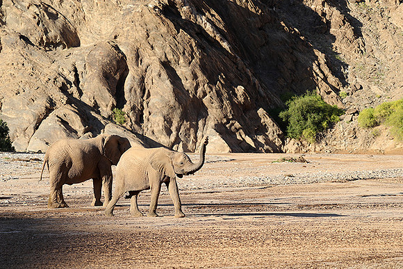 Skeleton coast